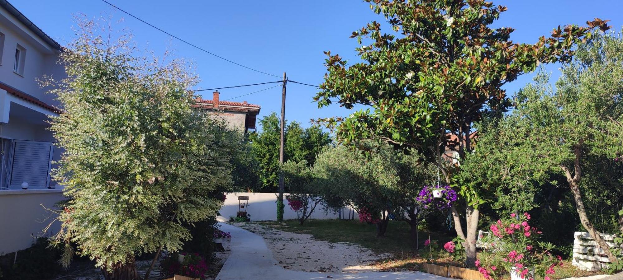 Apartments Villa Mihaela Banj Exterior photo
